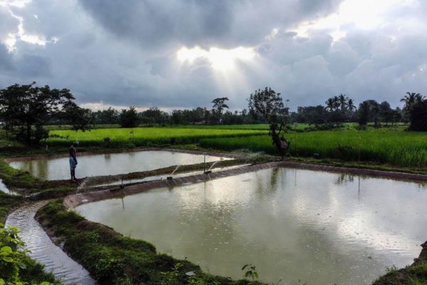 Rainwater harvesting workshop for farmers / किसानों के लिए वर्षा जल संचयन कार्यशाला