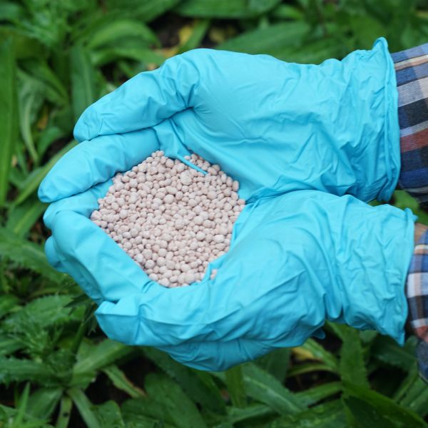 Bio Fertilizer