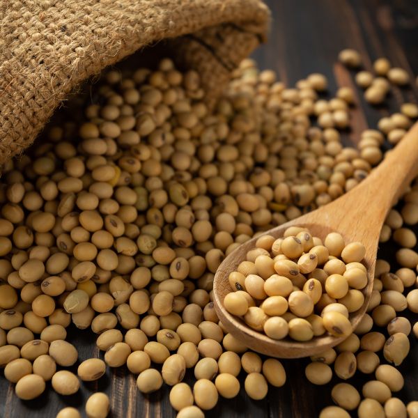Soya Protein